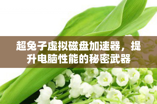 超兔子虚拟磁盘加速器，提升电脑性能的秘密武器