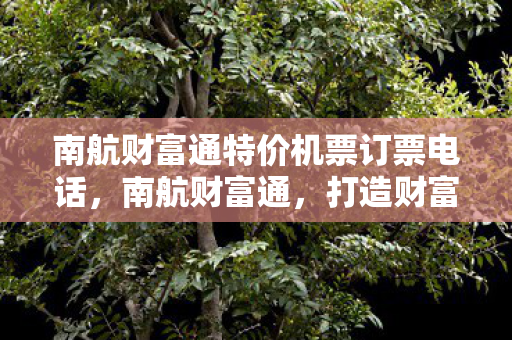 南航财富通特价机票订票电话，南航财富通，打造财富增值新航向
