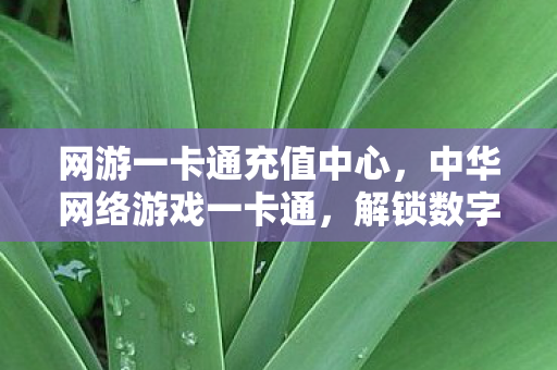 网游一卡通充值中心，中华网络游戏一卡通，解锁数字娱乐的新钥匙