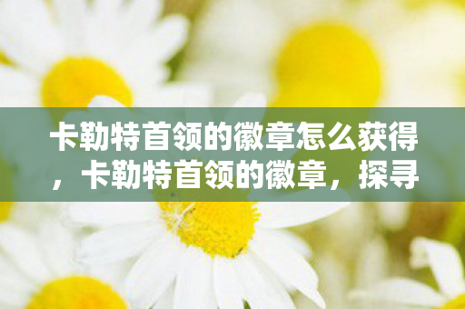 卡勒特首领的徽章怎么获得,卡勒特首领的徽章,探寻神秘符号背后的故事 卡勒特首领的徽章怎么获得,卡勒特首领的徽章,探寻神秘符号背后的故事