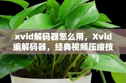 经典视频压缩技术的传奇图片