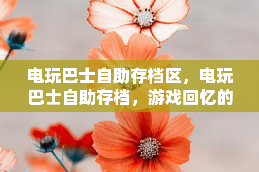 电玩巴士自助存档区，电玩巴士自助存档，游戏回忆的守护者