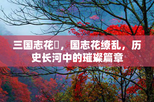 三国志花鬘，国志花缭乱，历史长河中的璀璨篇章