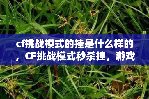 cf挑战模式的挂是什么样的,CF挑战模式秒杀挂,游戏乐趣与道德底线的博弈 cf挑战模式的挂是什么样的,CF挑战模式秒杀挂,游戏乐趣与道德底线的博弈