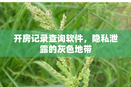 开房记录查询软件，隐私泄露的灰色地带