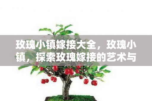 探索玫瑰嫁接的艺术与科学图片