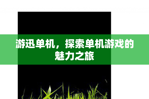 游迅单机，探索单机游戏的魅力之旅