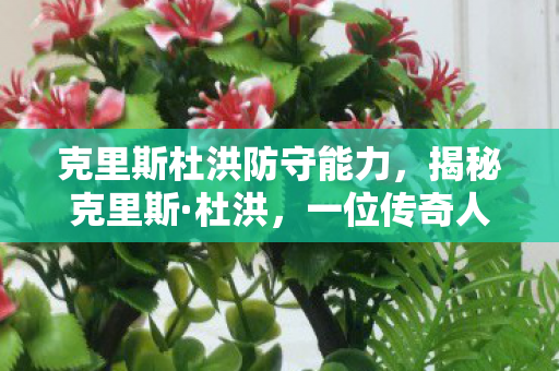 克里斯杜洪防守能力，揭秘克里斯·杜洪，一位传奇人物的非凡人生