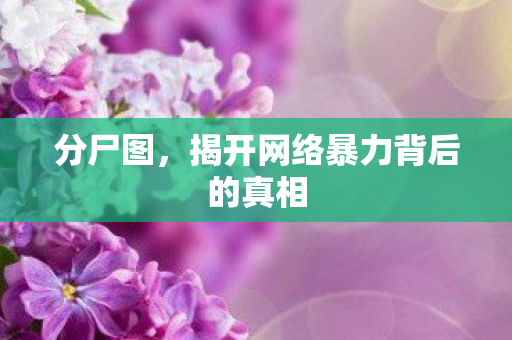 分尸图,揭开网络暴力背后的真相 分尸图,揭开网络暴力背后的真相