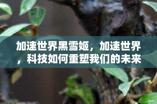 加速世界黑雪姬,加速世界,科技如何重塑我们的未来 加速世界黑雪姬,加速世界,科技如何重塑我们的未来