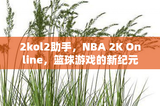 2kol2助手，NBA 2K Online，篮球游戏的新纪元