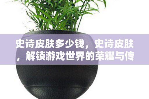 史诗皮肤多少钱,史诗皮肤,解锁游戏世界的荣耀与传奇 史诗皮肤多少钱,史诗皮肤,解锁游戏世界的荣耀与传奇