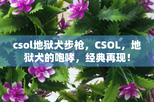 csol地狱犬步枪,CSOL,地狱犬的咆哮,经典再现! csol地狱犬步枪,CSOL,地狱犬的咆哮,经典再现!