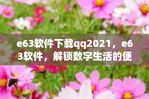 e63软件下载qq2021,e63软件,解锁数字生活的便捷钥匙 e63软件下载qq2021,e63软件,解锁数字生活的便捷钥匙