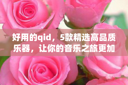 好用的qid,5款精选高品质乐器,让你的音乐之旅更加精彩 好用的qid,5款精选高品质乐器,让你的音乐之旅更加精彩