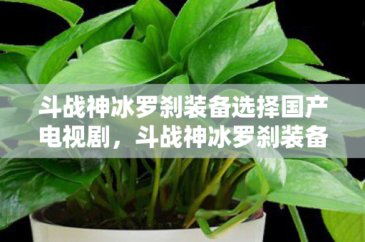 斗战神冰罗刹装备选择国产电视剧图片