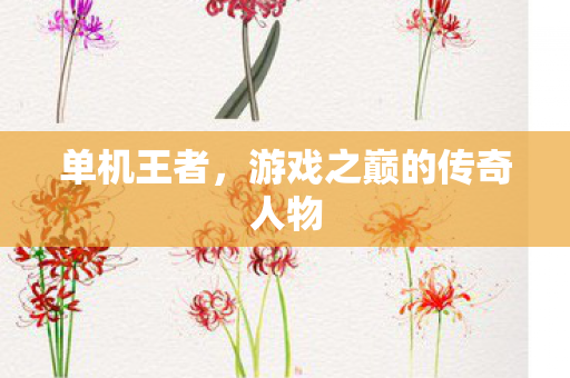 单机王者，游戏之巅的传奇人物