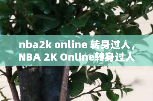 nba2k online 转身过人，NBA 2K Online转身过人技巧解析