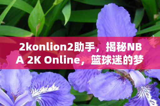 2konlion2助手，揭秘NBA 2K Online，篮球迷的梦幻乐园