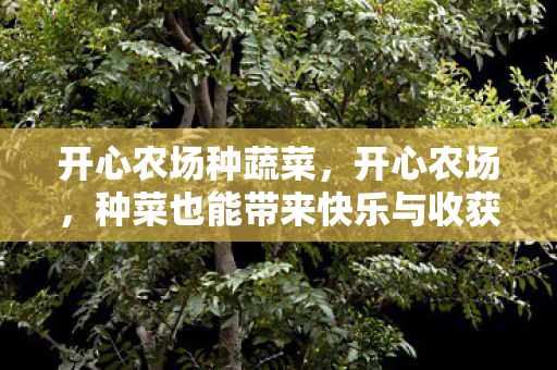 种菜也能带来快乐与收获图片