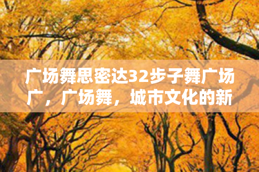 广场舞思密达32步子舞广场广图片