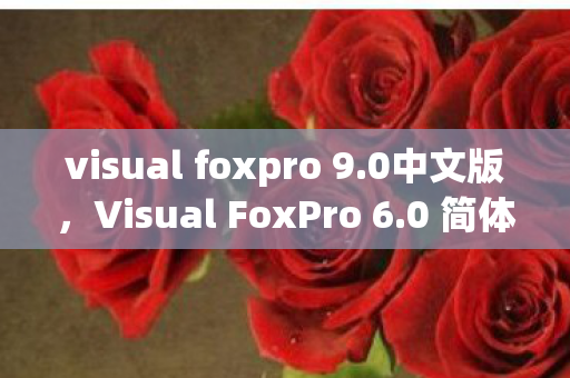 visual foxpro 9图片
