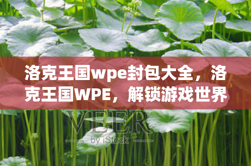 洛克王国wpe封包大全图片