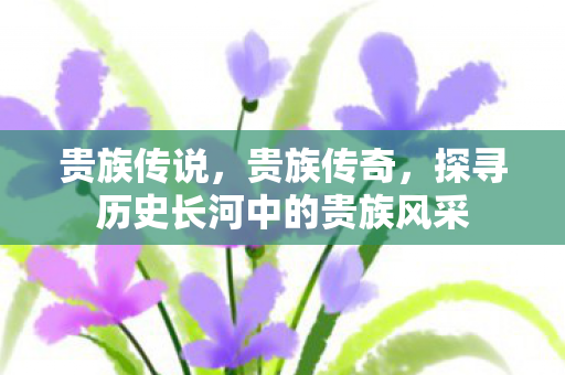探寻历史长河中的贵族风采图片