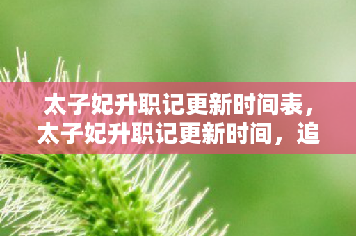 太子妃升职记更新时间表图片