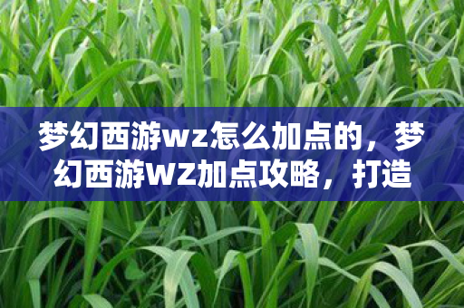 梦幻西游wz怎么加点的图片