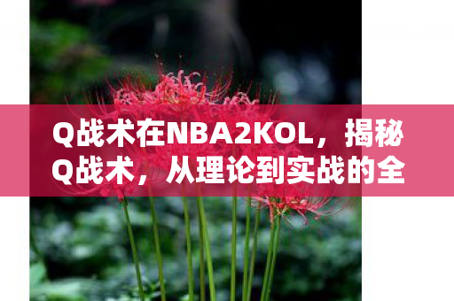 Q战术在NBA2KOL，揭秘Q战术，从理论到实战的全面解析