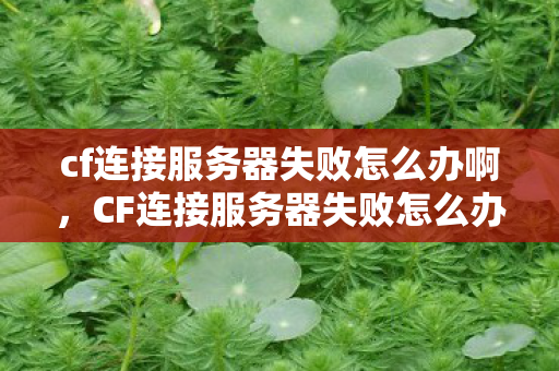 cf连接服务器失败怎么办啊图片