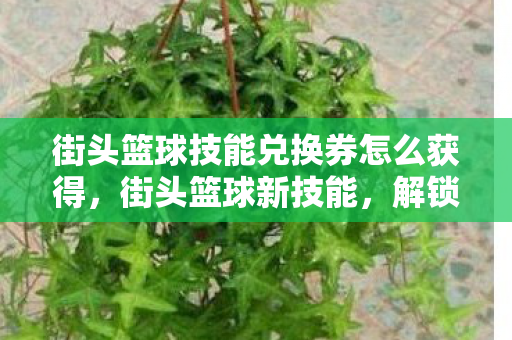 街头篮球技能兑换券怎么获得图片