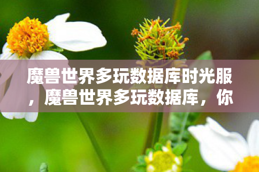 魔兽世界多玩数据库时光服图片