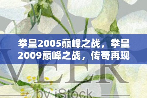 拳皇2005巅峰之战图片