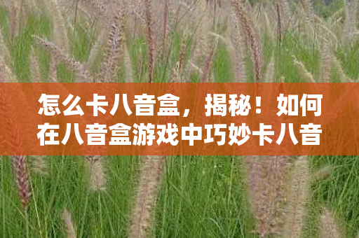 如何在八音盒游戏中巧妙卡八音图片