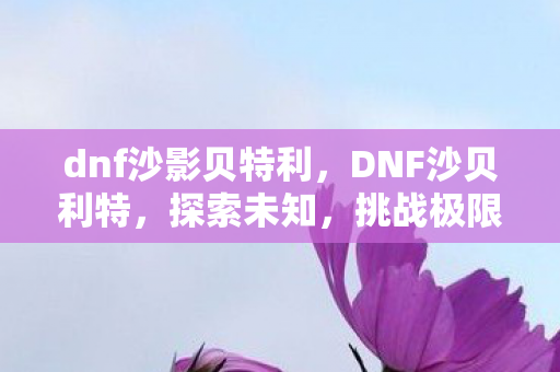dnf沙影贝特利图片