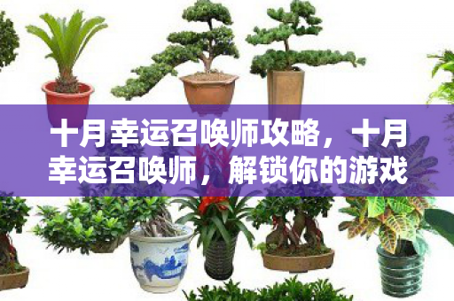 十月幸运召唤师攻略图片