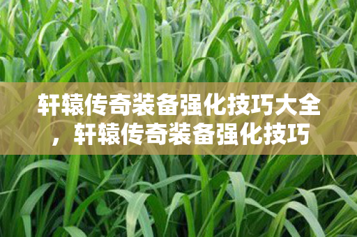 轩辕传奇装备强化技巧大全图片