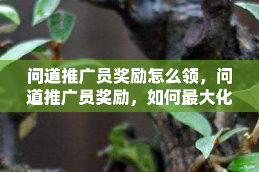 问道推广员奖励怎么领图片