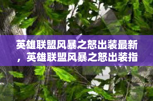 英雄联盟风暴之怒出装最新图片