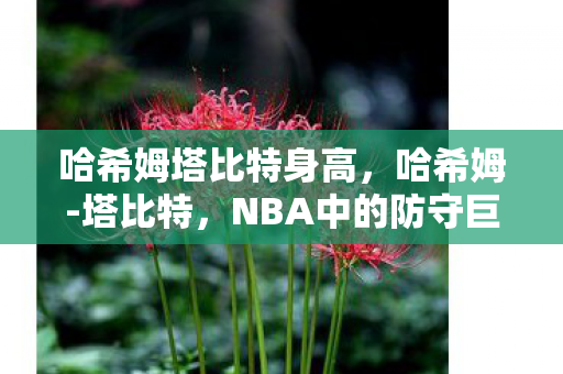 哈希姆塔比特身高，哈希姆-塔比特，NBA中的防守巨人，重塑篮球世界的潜力之星