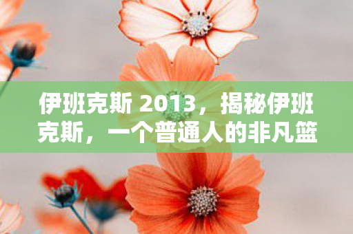 伊班克斯 2013，揭秘伊班克斯，一个普通人的非凡篮球之旅