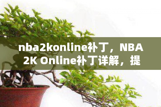 nba2konline补丁，NBA 2K Online补丁详解，提升游戏体验的必备更新