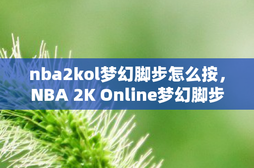 nba2kol梦幻脚步怎么按，NBA 2K Online梦幻脚步，篮球迷的梦幻之选