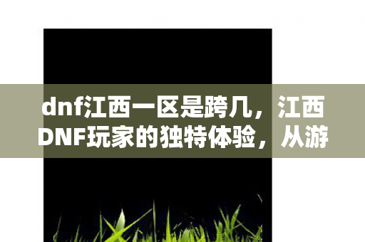 江西DNF玩家的独特体验图片