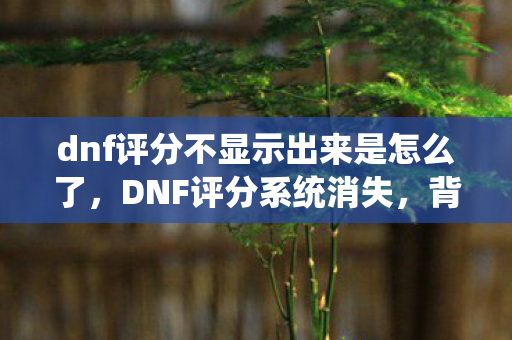 dnf评分不显示出来是怎么了图片