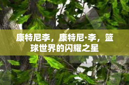 康特尼李，康特尼·李，篮球世界的闪耀之星