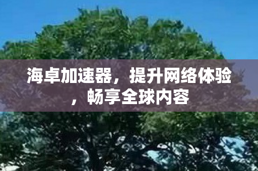 提升网络体验图片