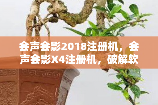 破解软件的风险与合法替代方案图片